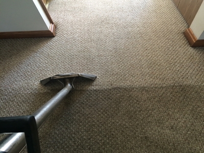 carpet cleaning service erie