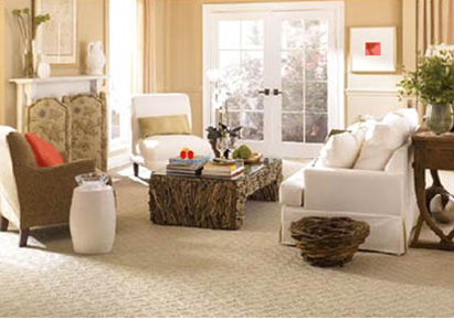 carpet cleaners erie pa